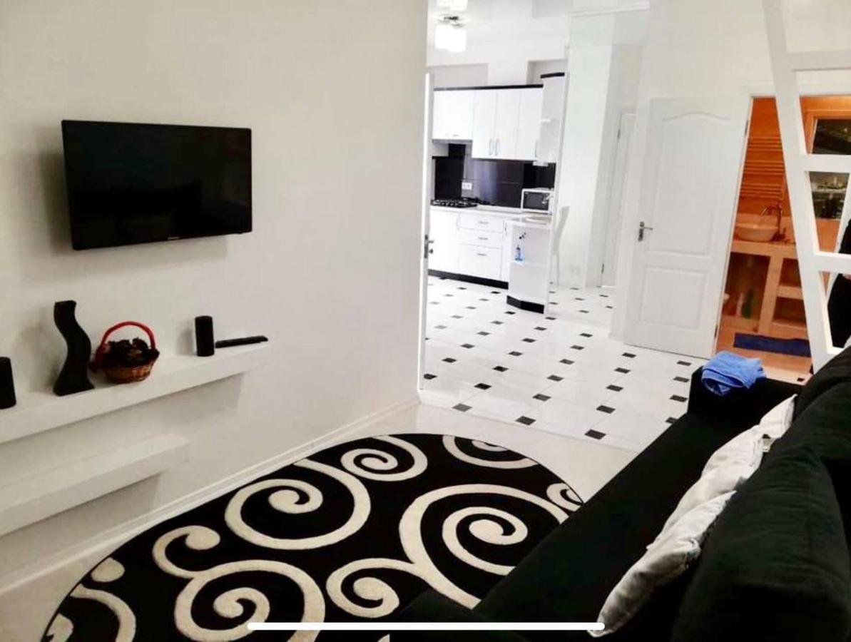 Bright Central Apartment Κισινάου Εξωτερικό φωτογραφία